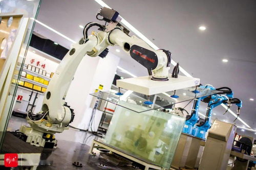打造千億級(jí)機(jī)器人產(chǎn)業(yè)集群,順德憑什么能
